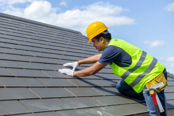 Best Roof Leak Repair  in Thomasboro, IL
