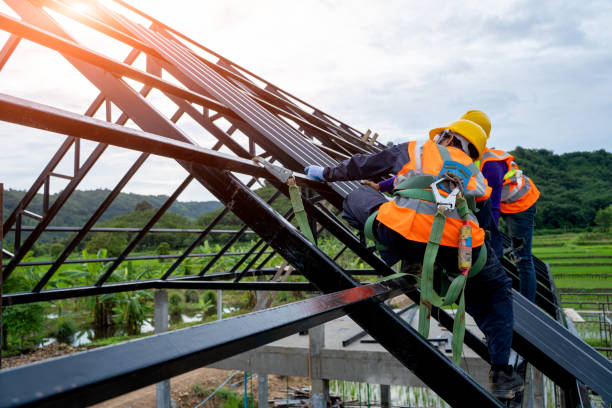 Best New Roof Installation  in Thomasboro, IL