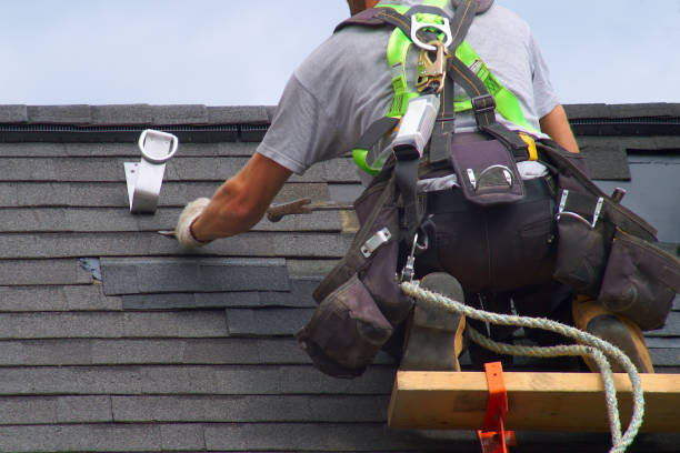 Best Local Roofing Companies  in Thomasboro, IL