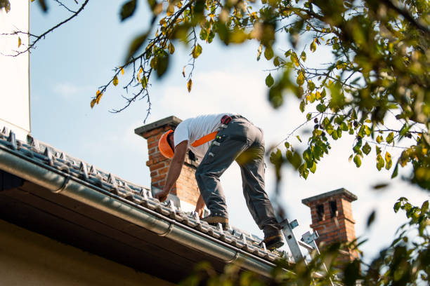 Tile Roofing Contractor in Thomasboro, IL