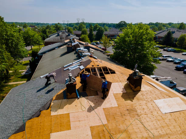 Professional Roofing Contractor in Thomasboro, IL