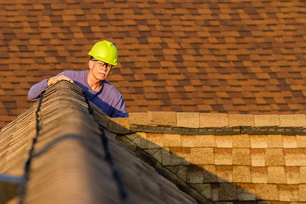 Roof Waterproofing Services in Thomasboro, IL