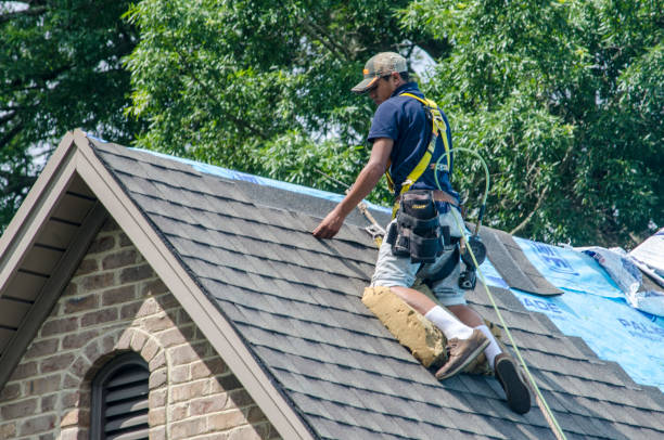 Best Residential Roof Replacement  in Thomasboro, IL